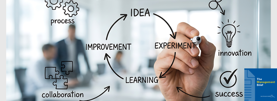Lean Was Always an Experiment-1-lean post
